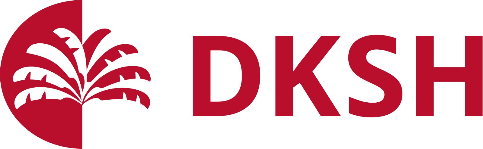 dksh-1745231593.jpg